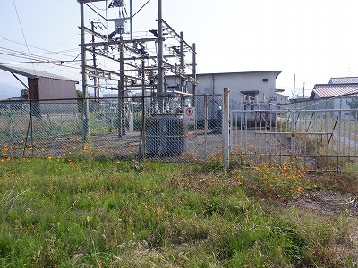 w摜
