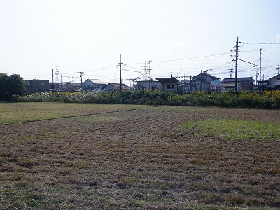 w摜