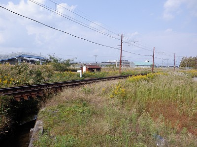 w摜