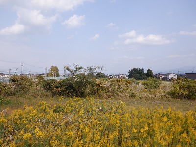 w摜