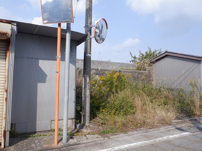 w摜