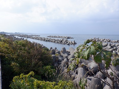 w摜