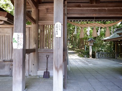 쎛w摜