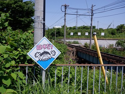 쎛w摜