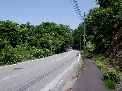 쎛w摜