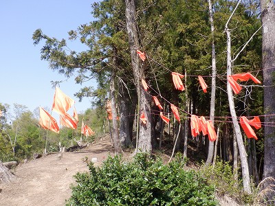 �z�O�����Ӊw�摜