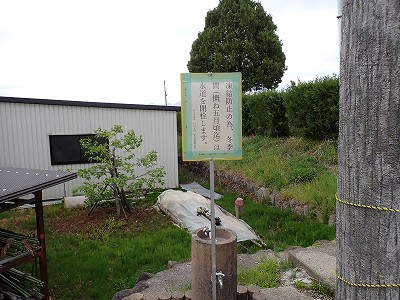 ���w�摜