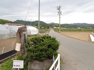 ���w�摜