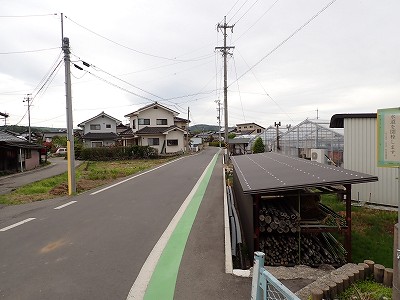 ���w�摜