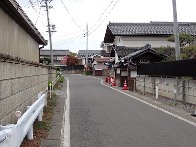 ���w�摜