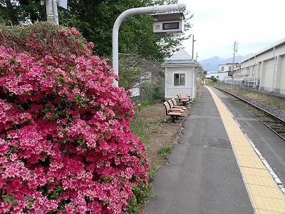 �k�����w�摜