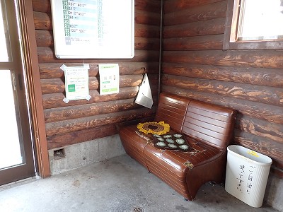 �����w�摜