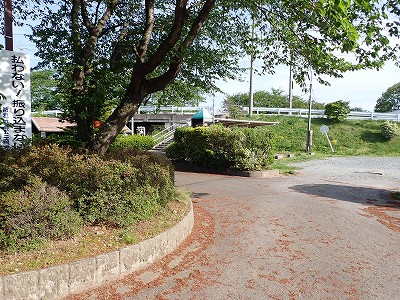 �����w�摜