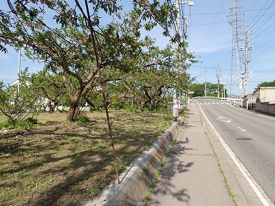 �����w�摜