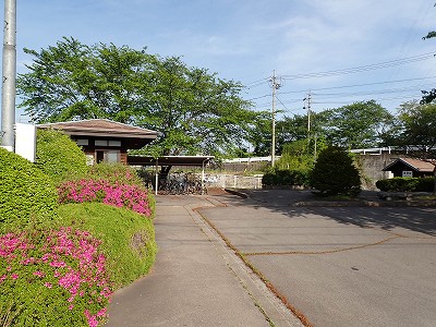 �����w�摜