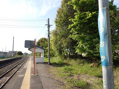 �O���w�摜