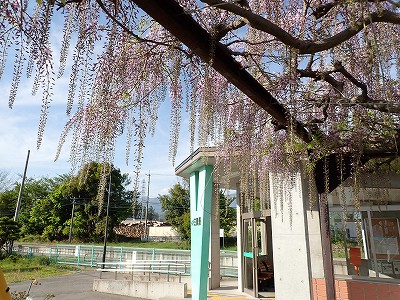 �O���w�摜