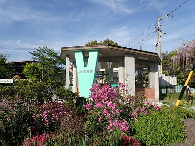 �O���w�摜