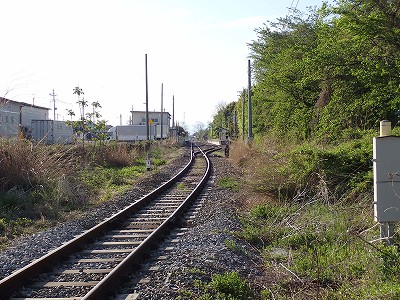 �O���w�摜