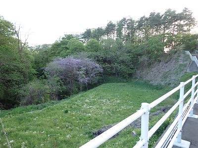 �����w�摜