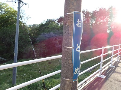 �����w�摜