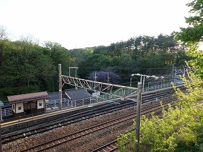 �����w�w��