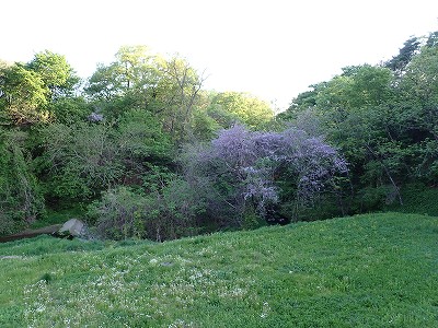 �����w�摜