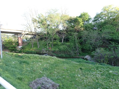 �����w�摜