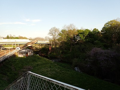 �����w�摜