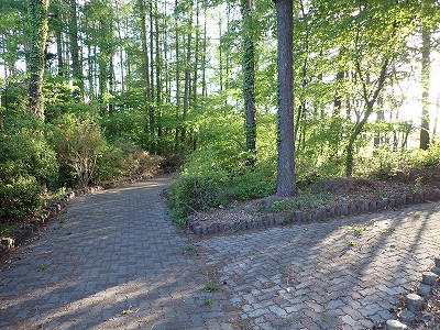 �����w�摜