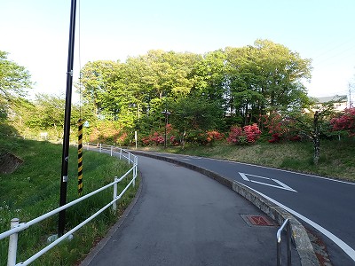 �����w�摜