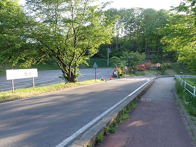 �����w�摜