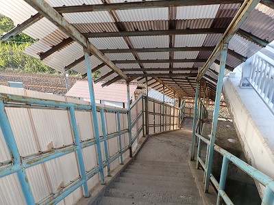 �����w�摜