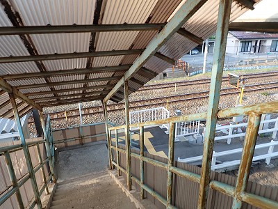 �����w�摜