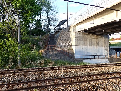 �����w�摜