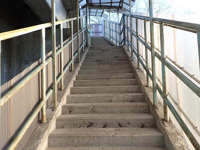 �����w�摜