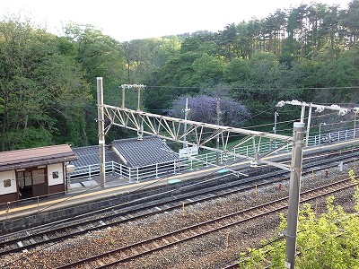 �����w�摜