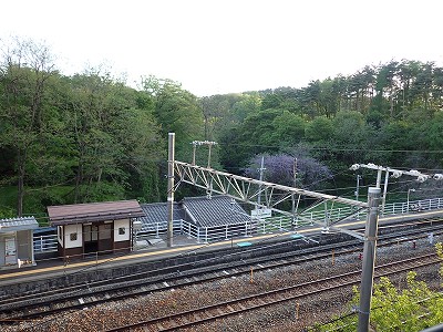 �����w�摜