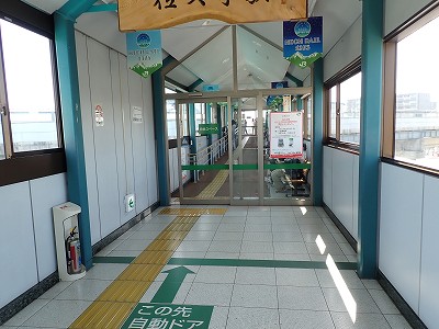 ���v���w�摜