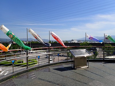 ���v���w�摜