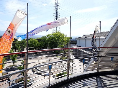 ���v���w�摜