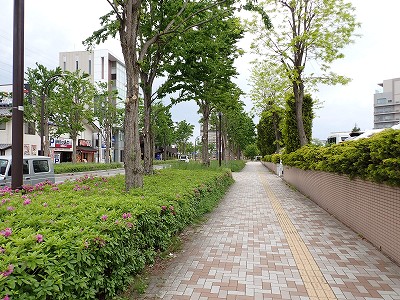 ���v���w�摜