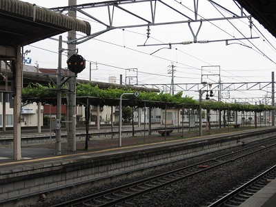 ���K�w�摜