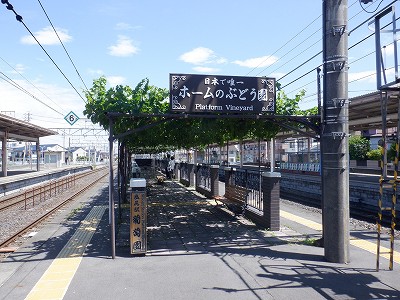 ���K�w�摜