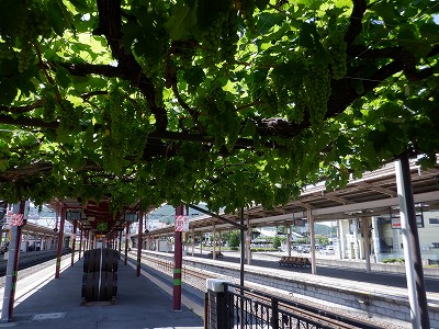 ���K�w�摜