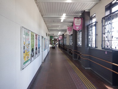 ���K�w�摜