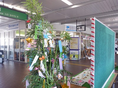 ���K�w�摜