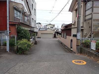 ���ʉ@�w�摜