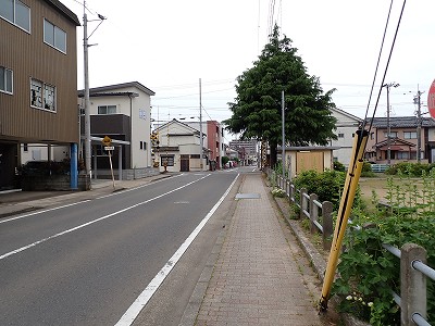 ���ʉ@�w�摜
