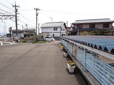 �����c���̗��w�摜